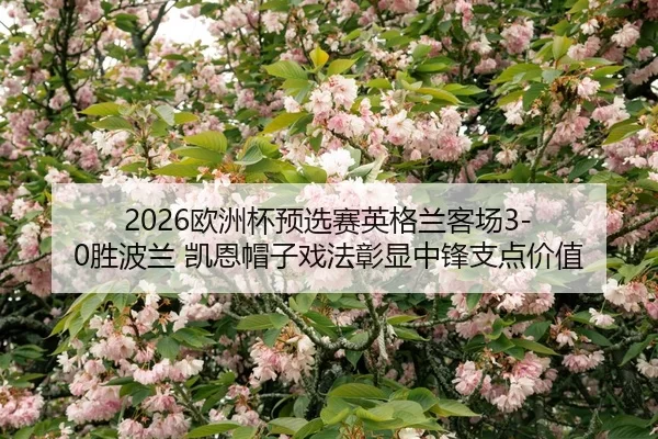 2026欧洲杯预选赛英格兰客场3-0胜波兰 凯恩帽子戏法彰显中锋支点价值